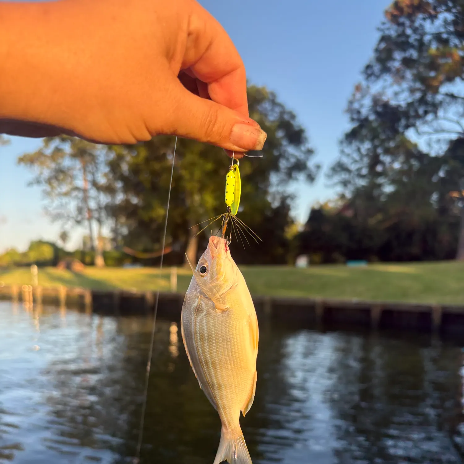 catch