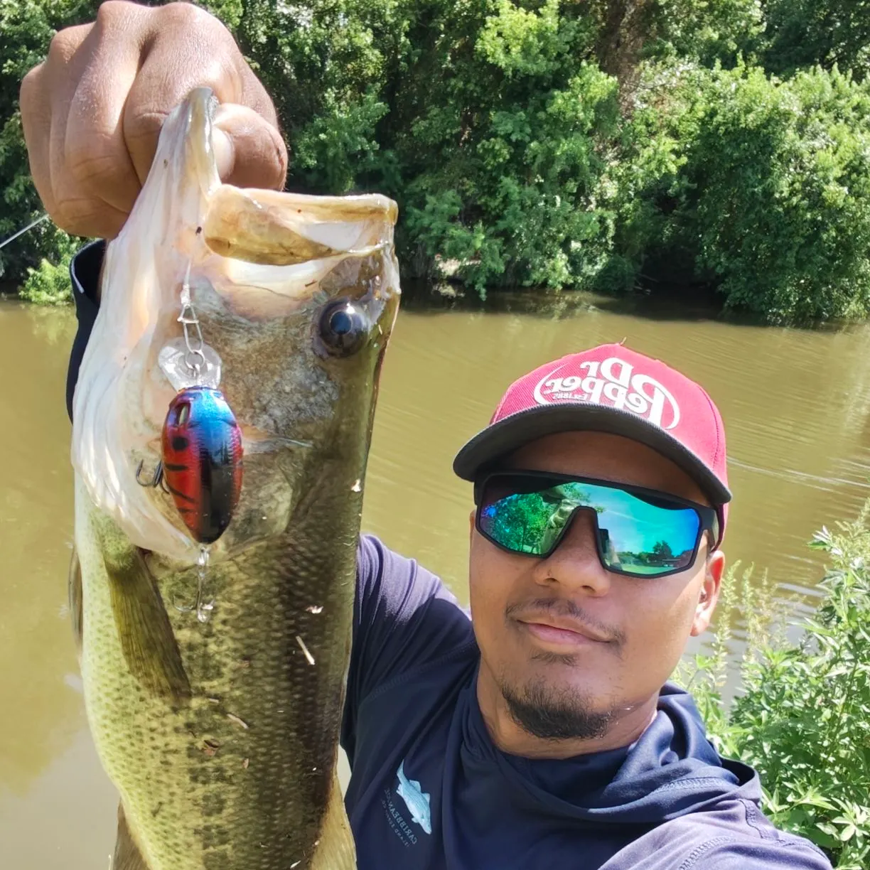 Largemouth bass caught on Fishbrain