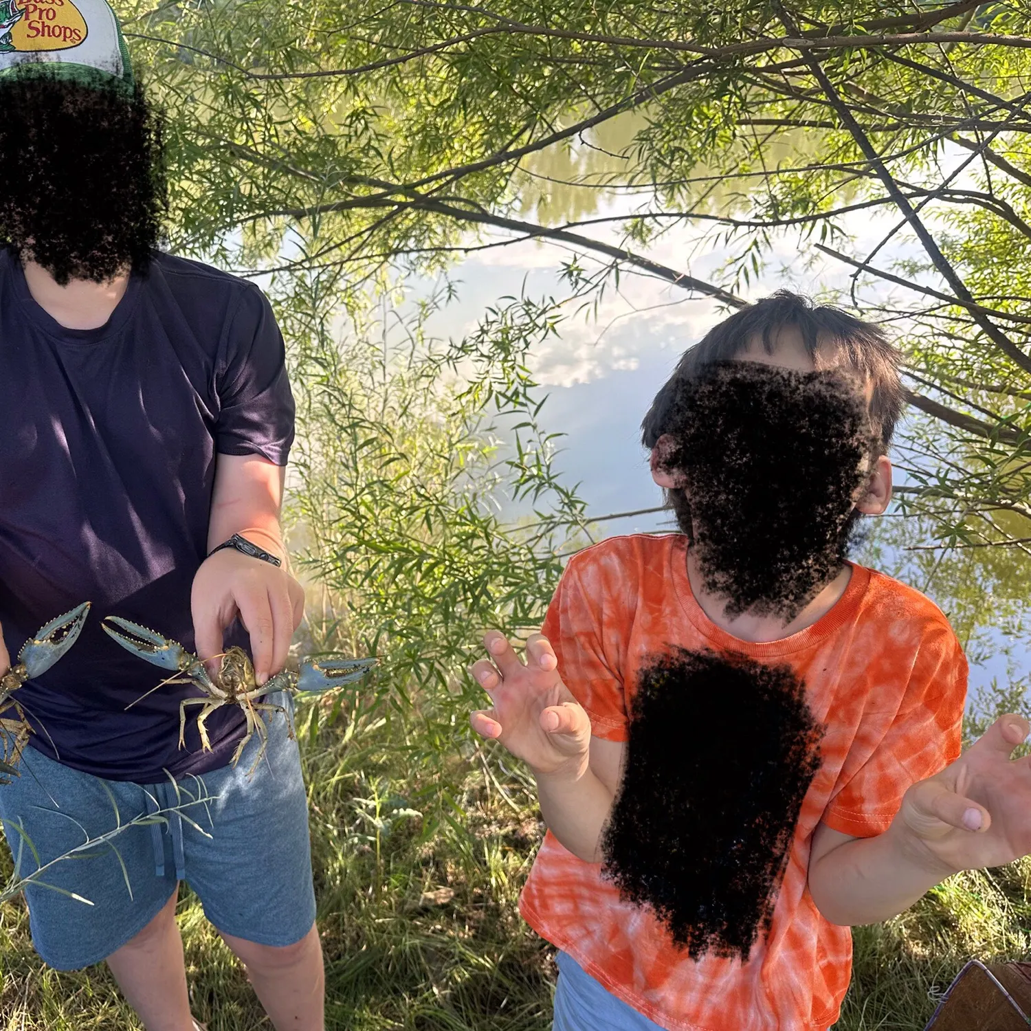 The most recent Signal crayfish catches on Fishbrain