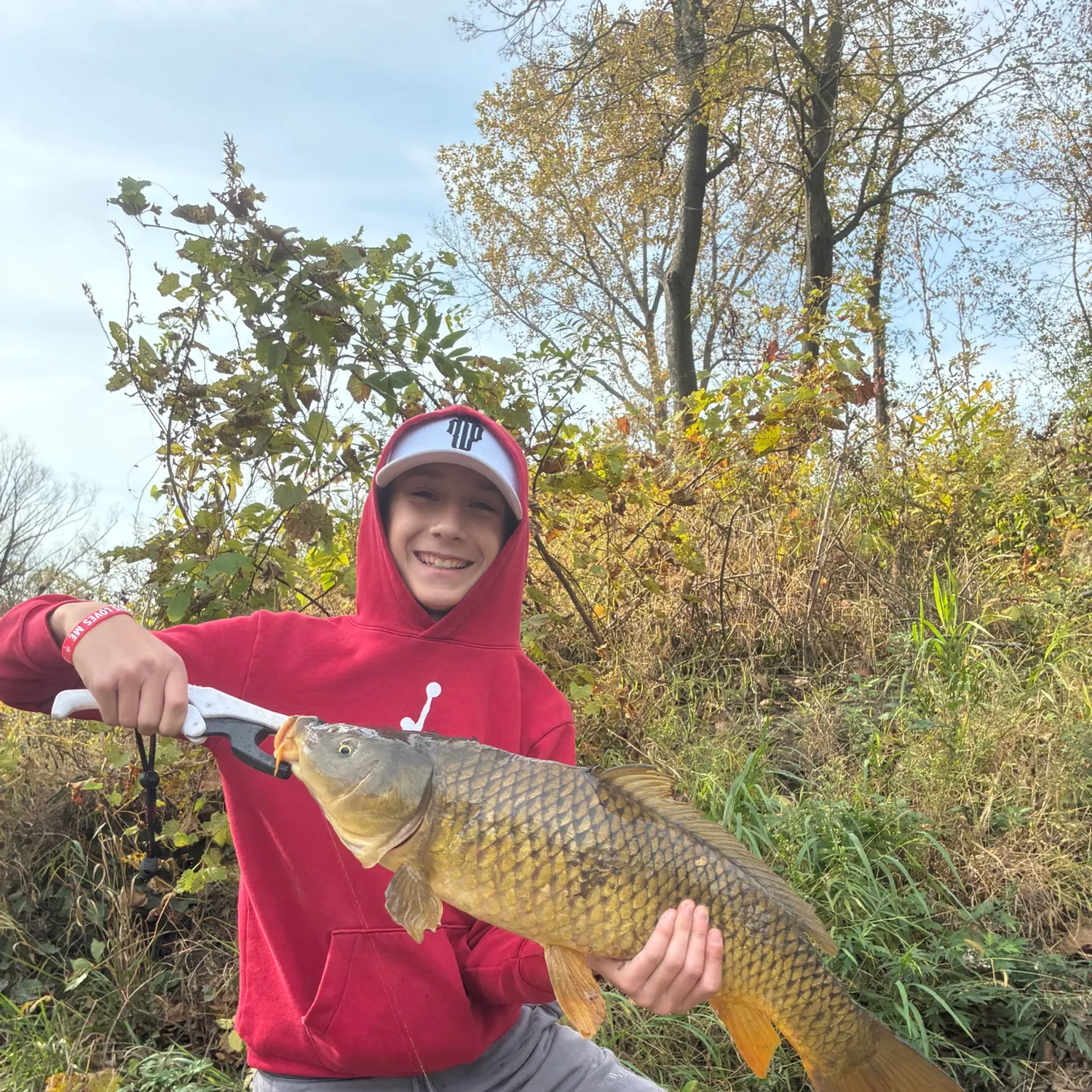 Common carp caught on Fishbrain