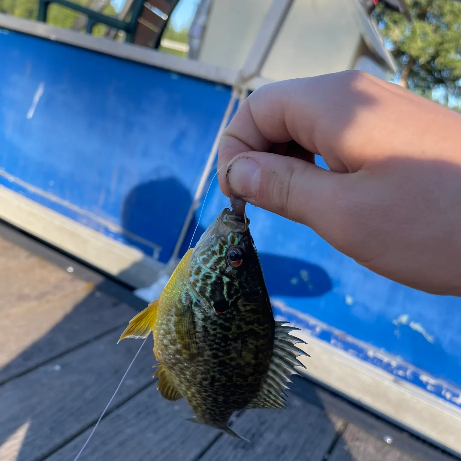 catch