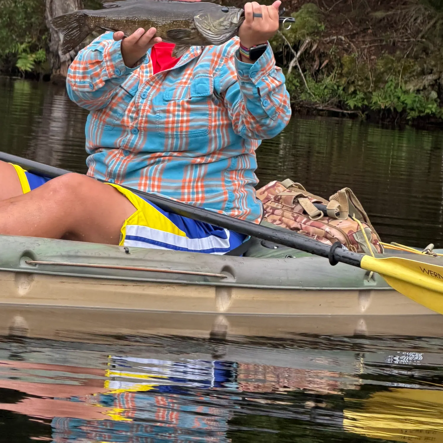 Smallmouth bass caught on Fishbrain