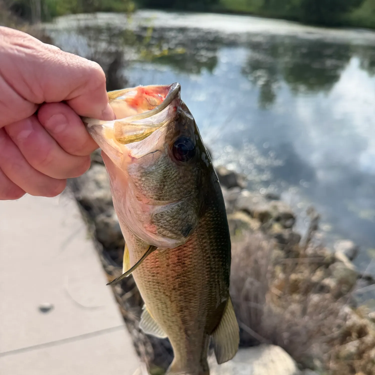 catch