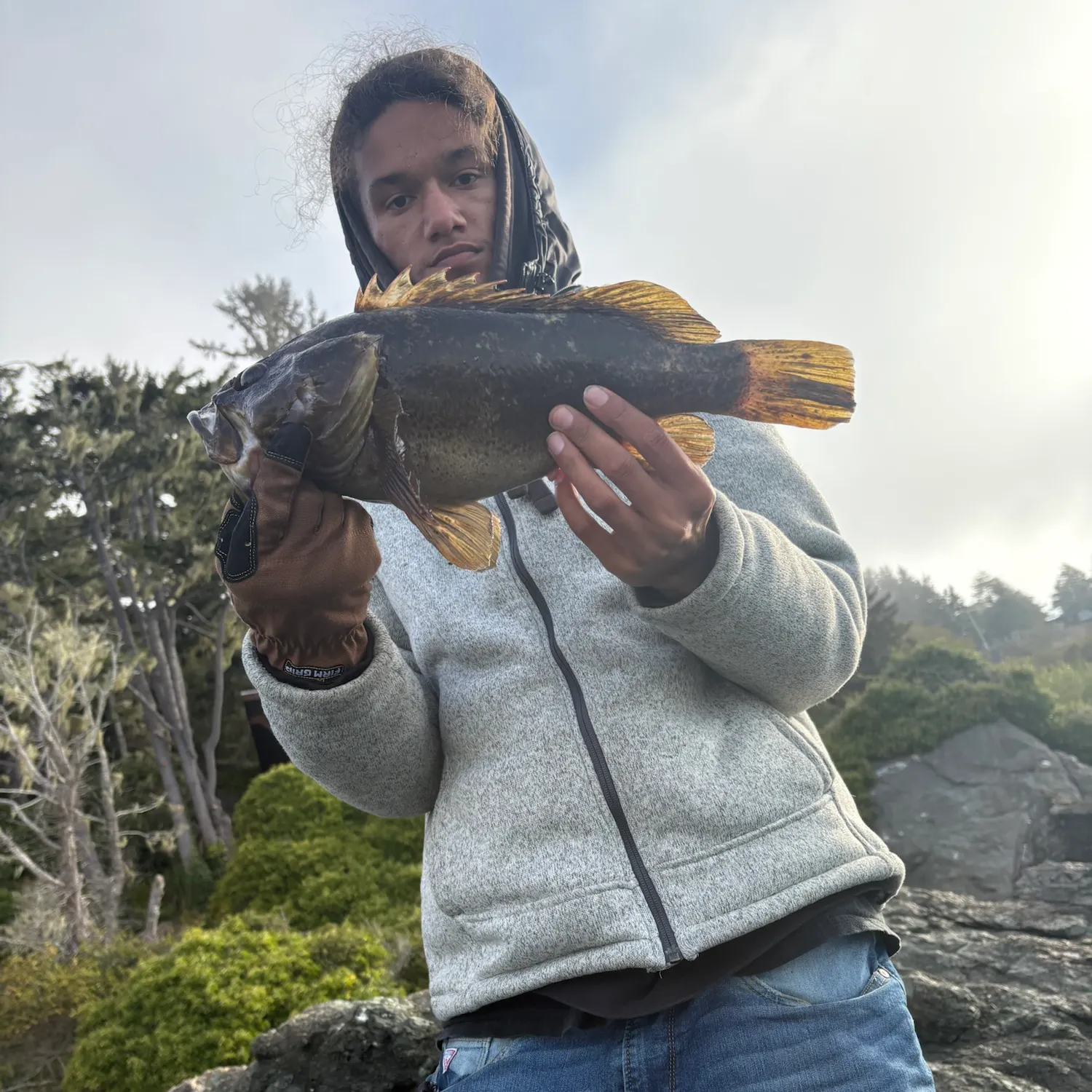 Grass rockfish caught on Fishbrain