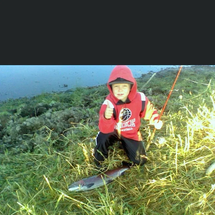 The most recent Great basin redband trout catches on Fishbrain