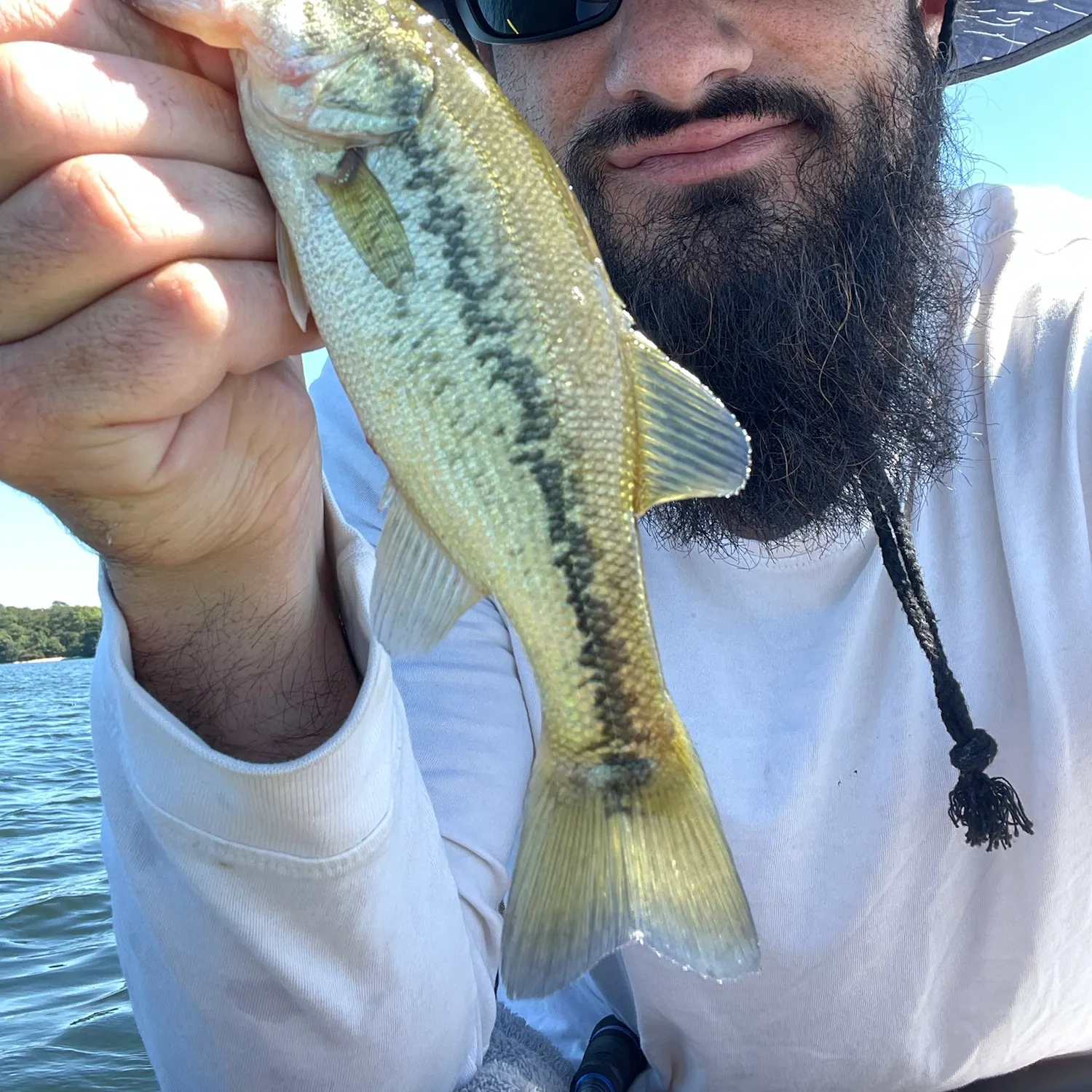 Largemouth bass caught on Fishbrain