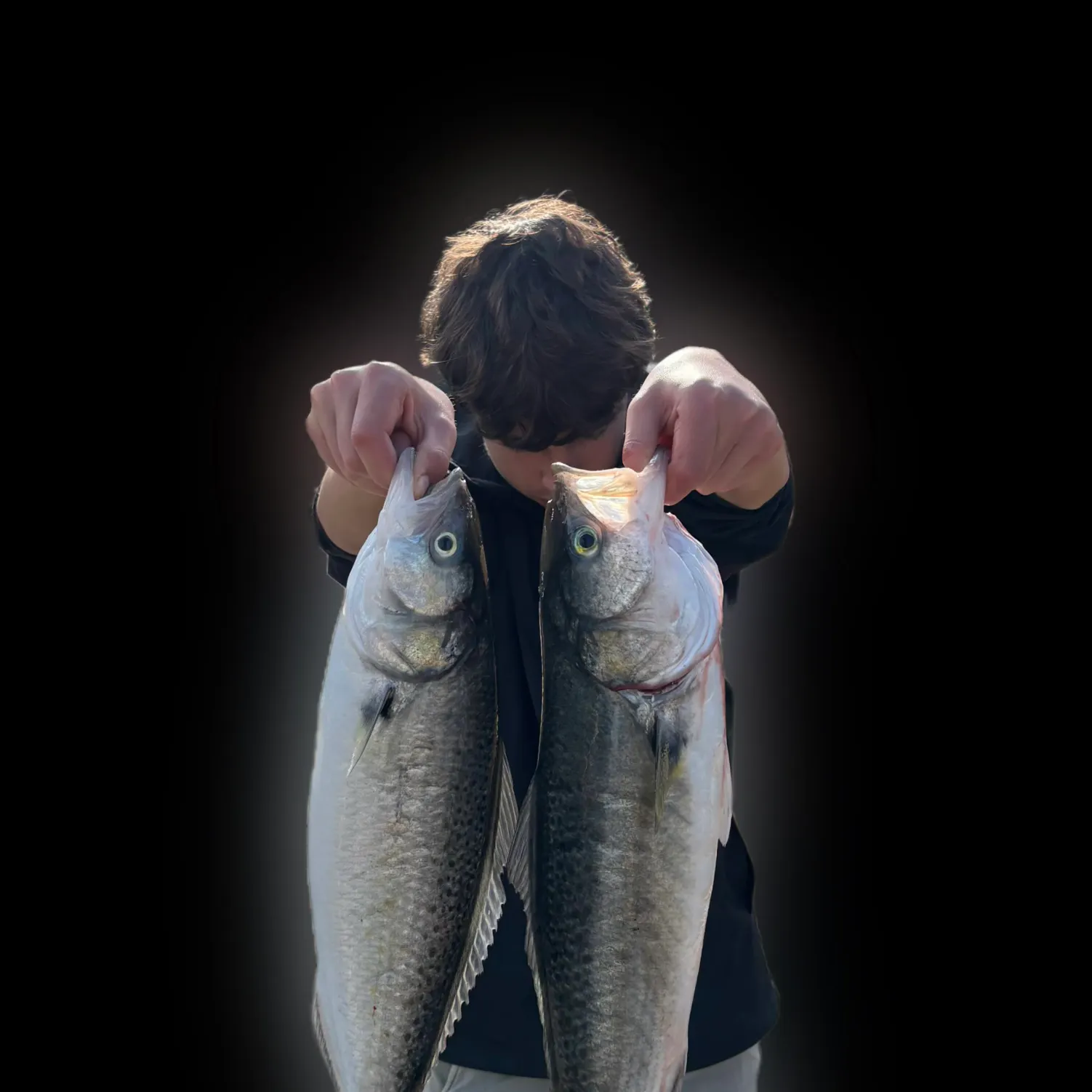 The most recent Eastern Australian salmon catches on Fishbrain