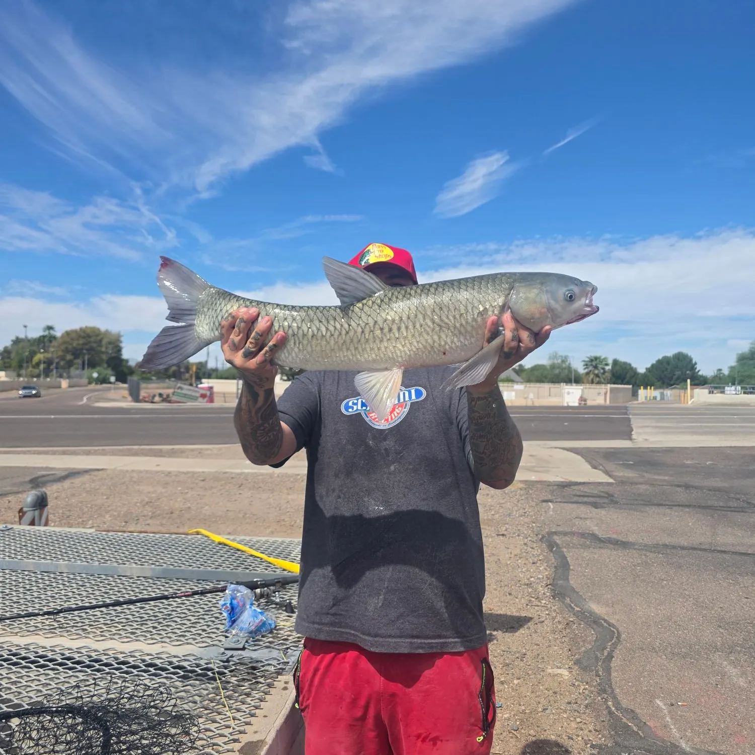 Grass carp caught on Fishbrain