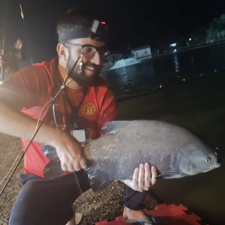 most liked catch image