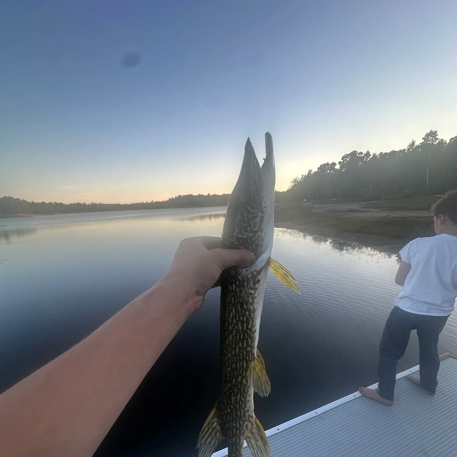 Northern pike caught on Fishbrain