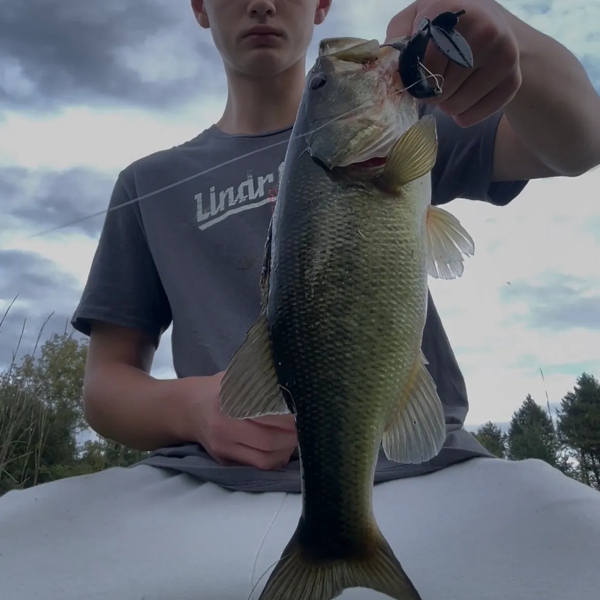 Largemouth bass caught on Fishbrain