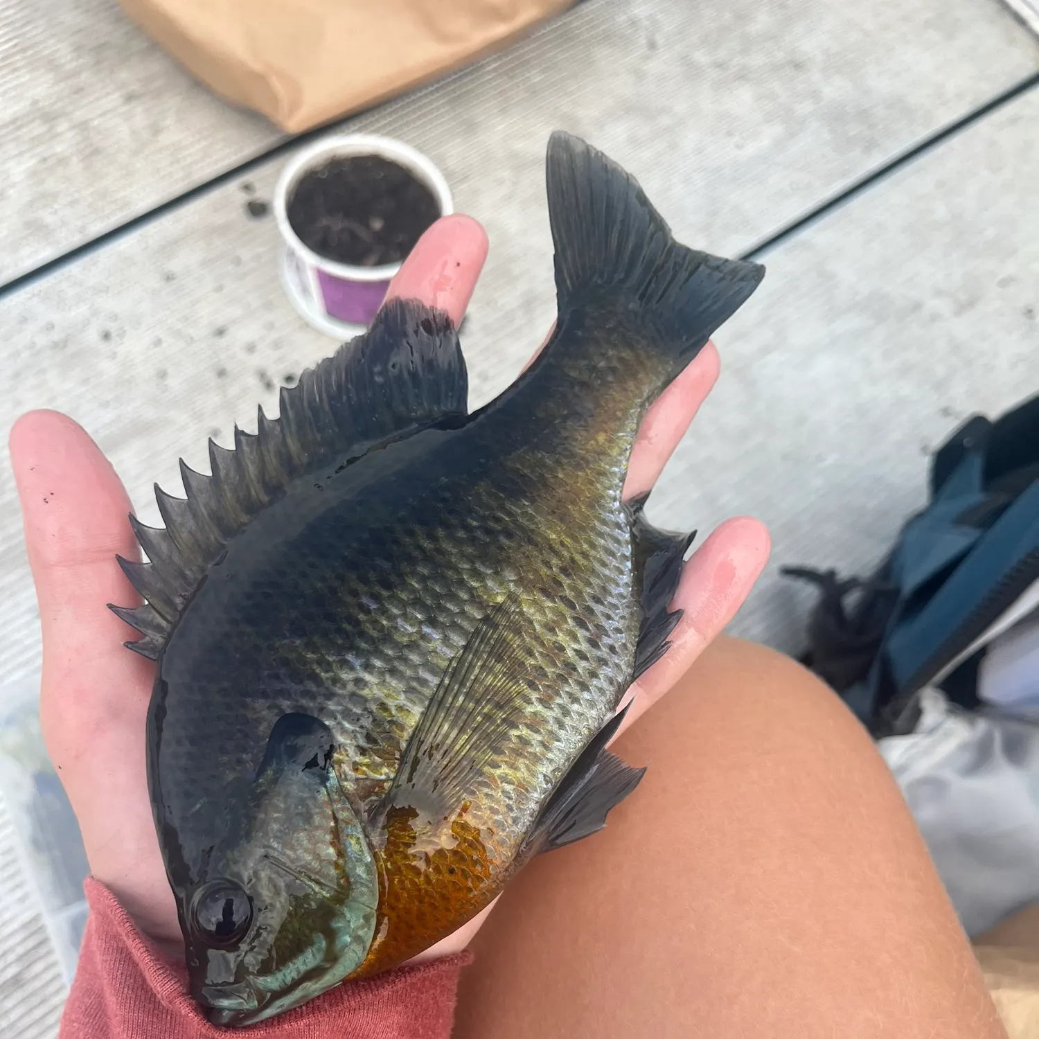 catch