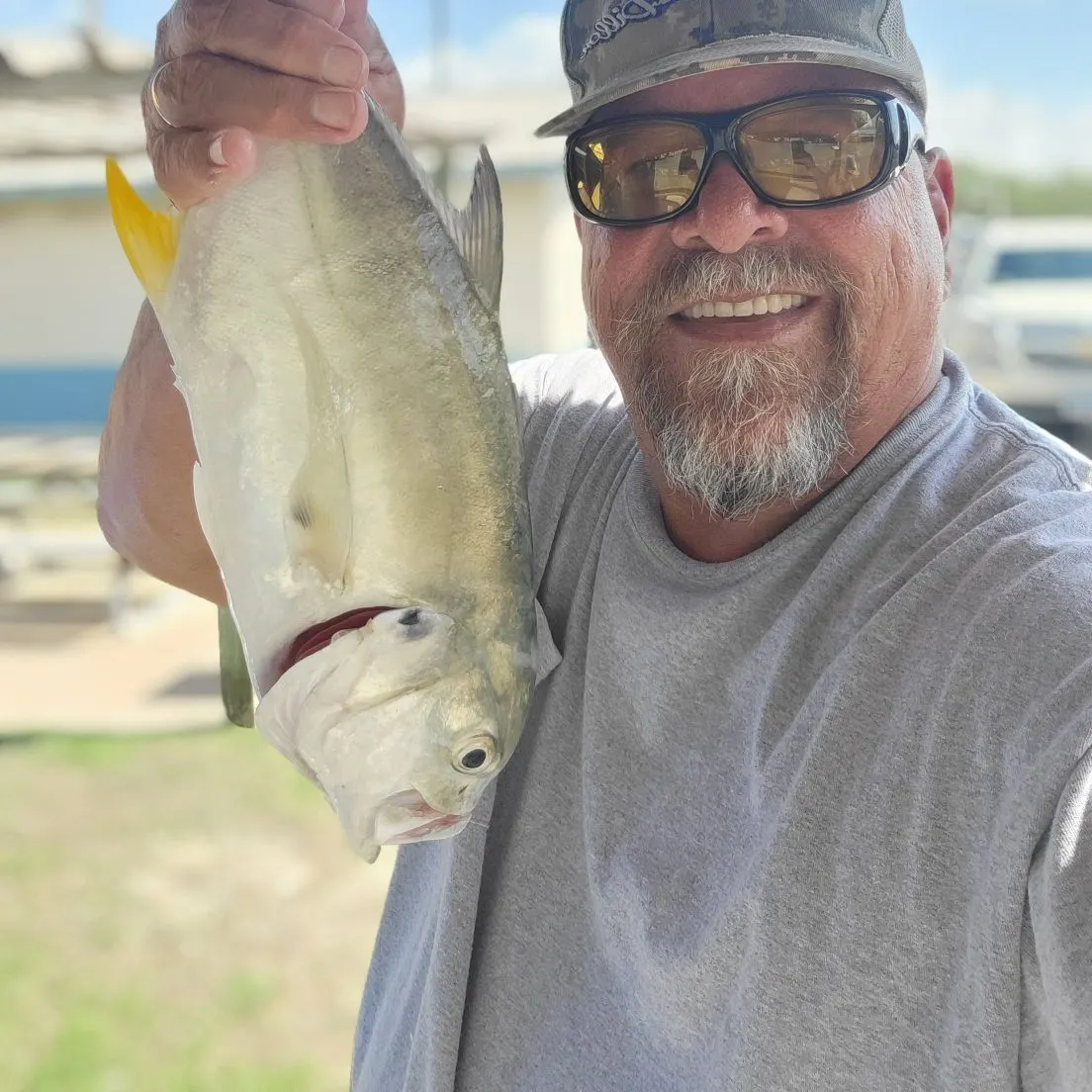 Crevalle jack caught on Fishbrain