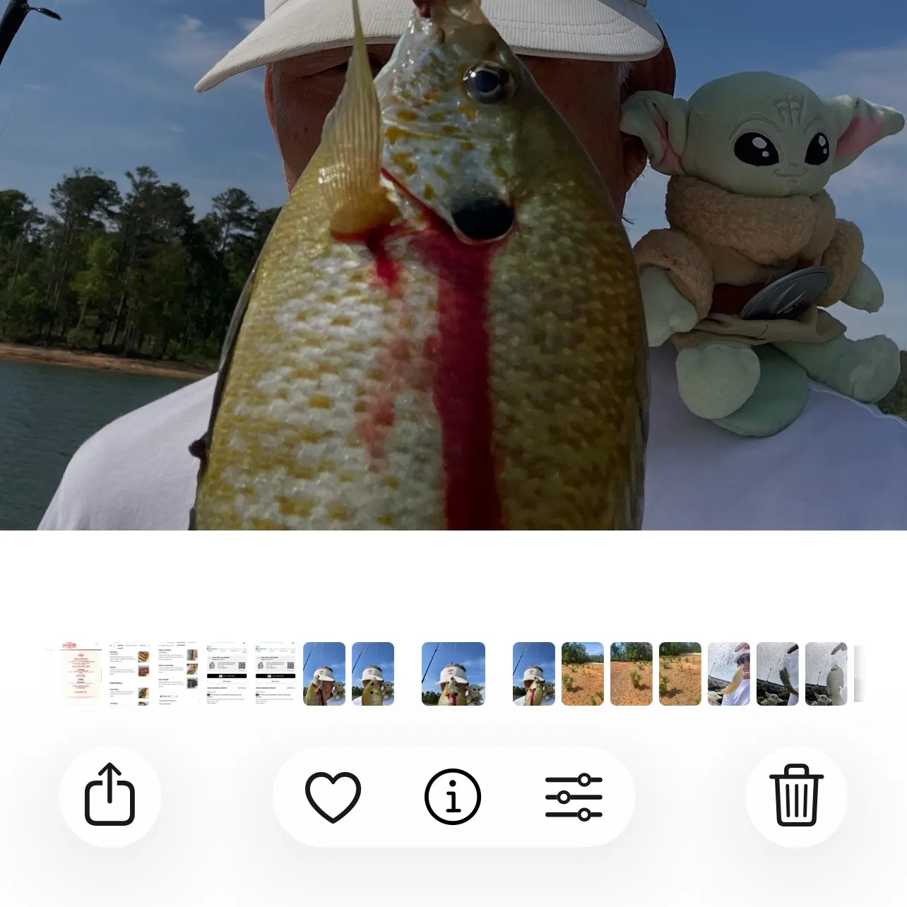 recently logged catches