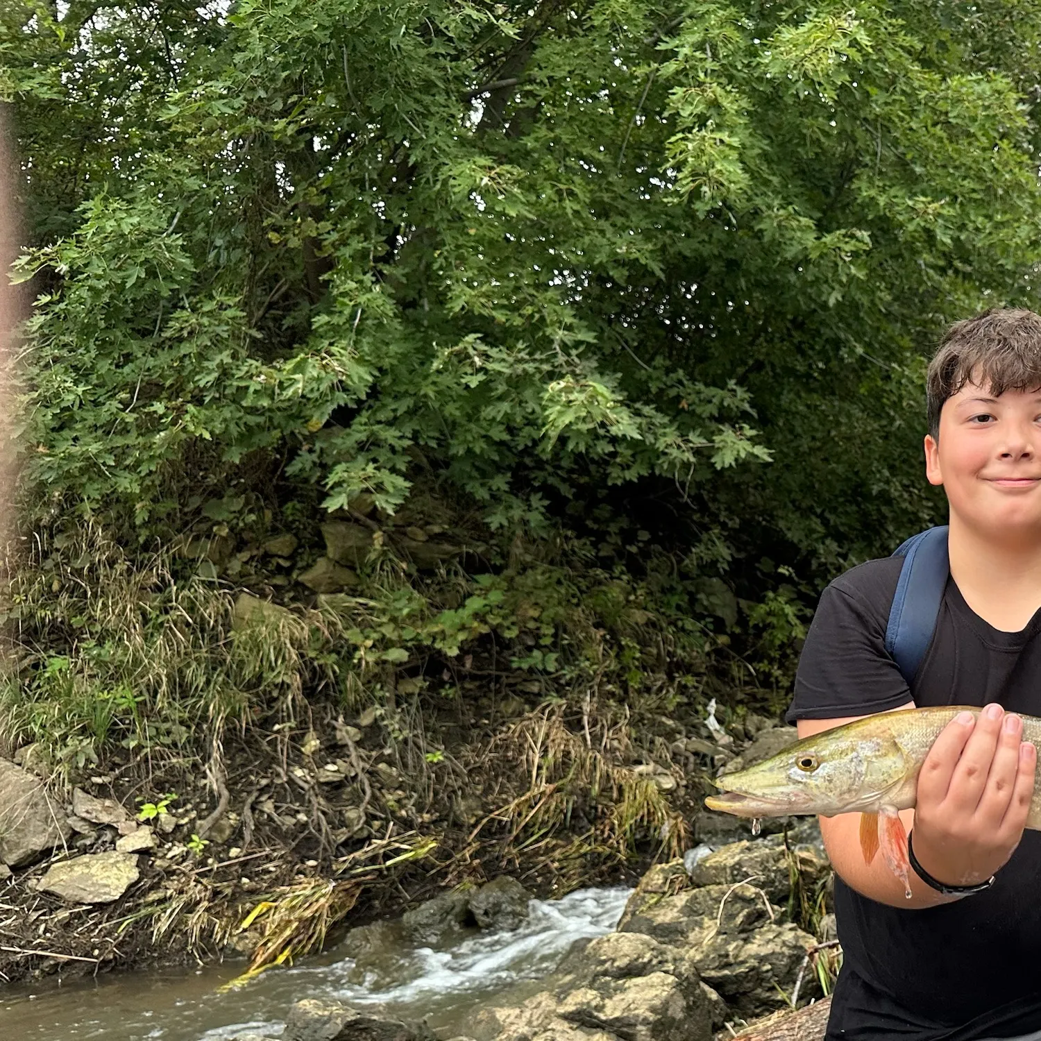 Northern pike caught on Fishbrain