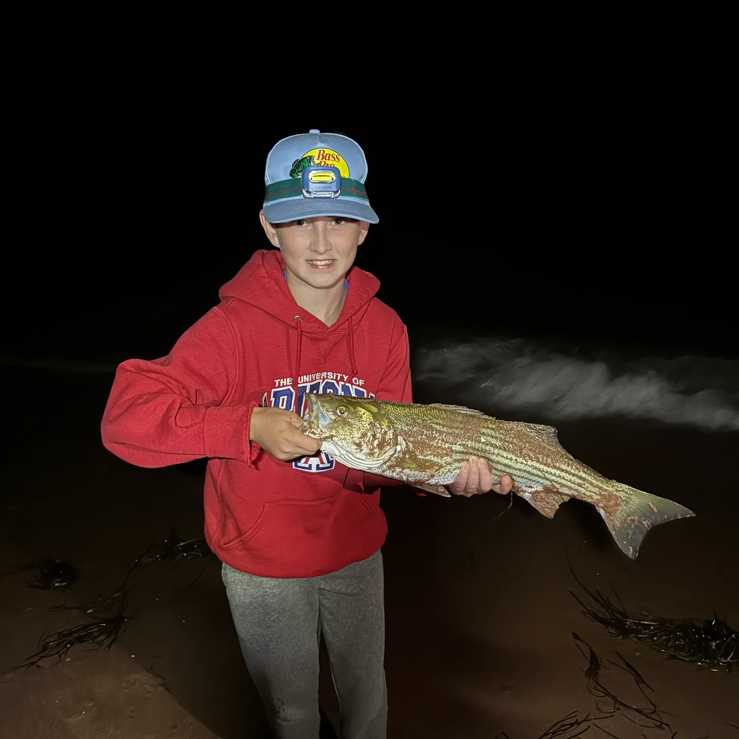 Striped bass caught on Fishbrain