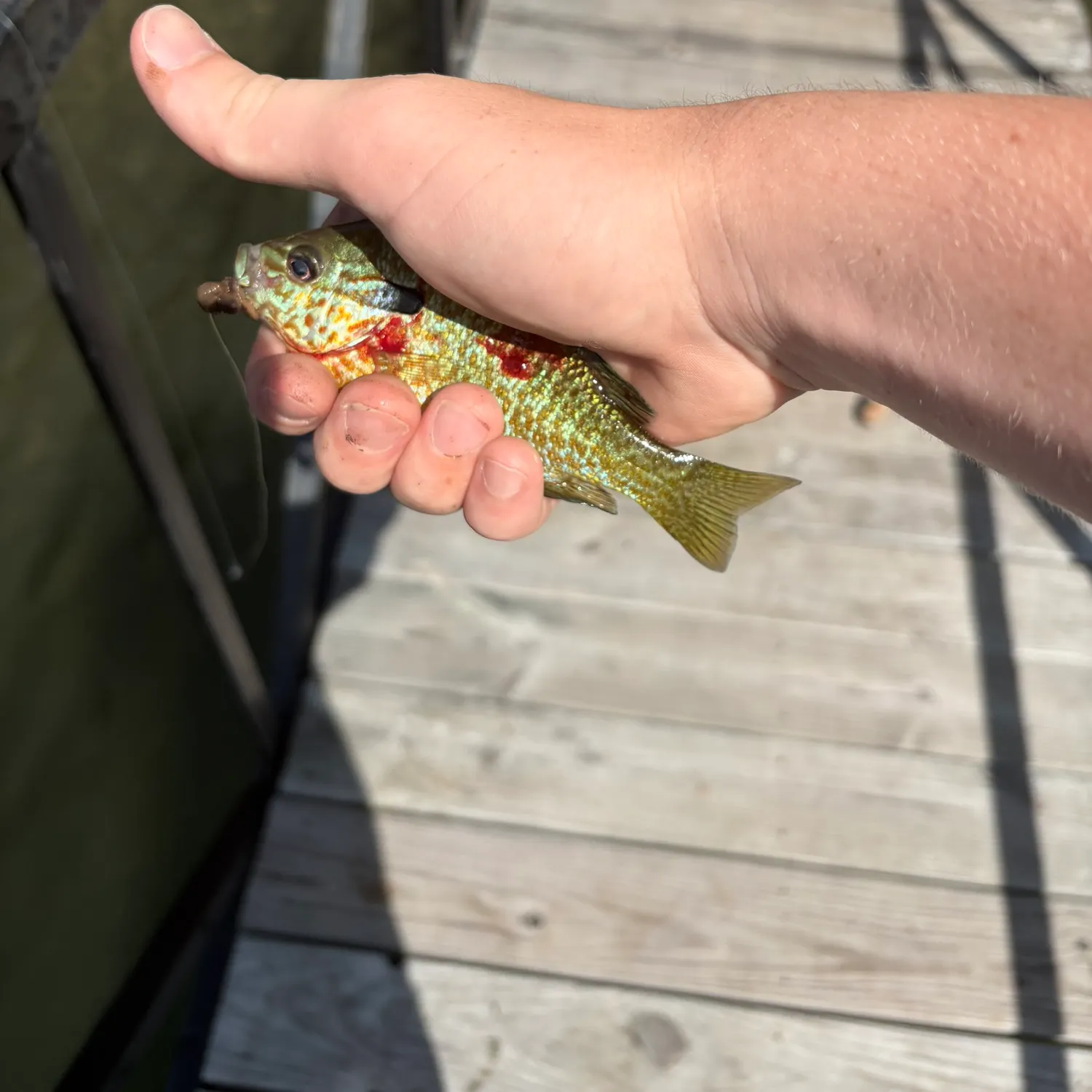 catch