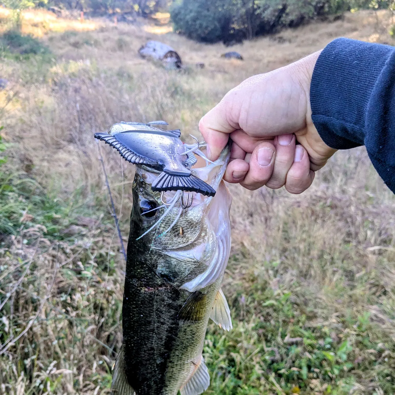 angler catch