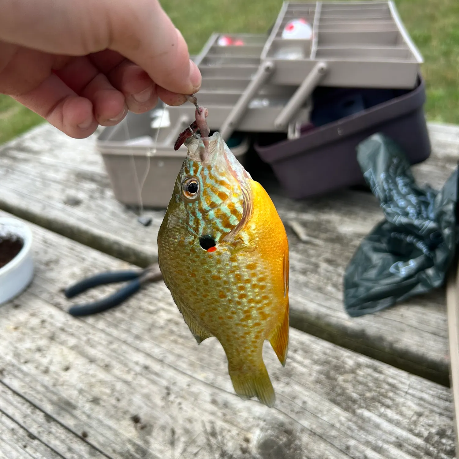 catch