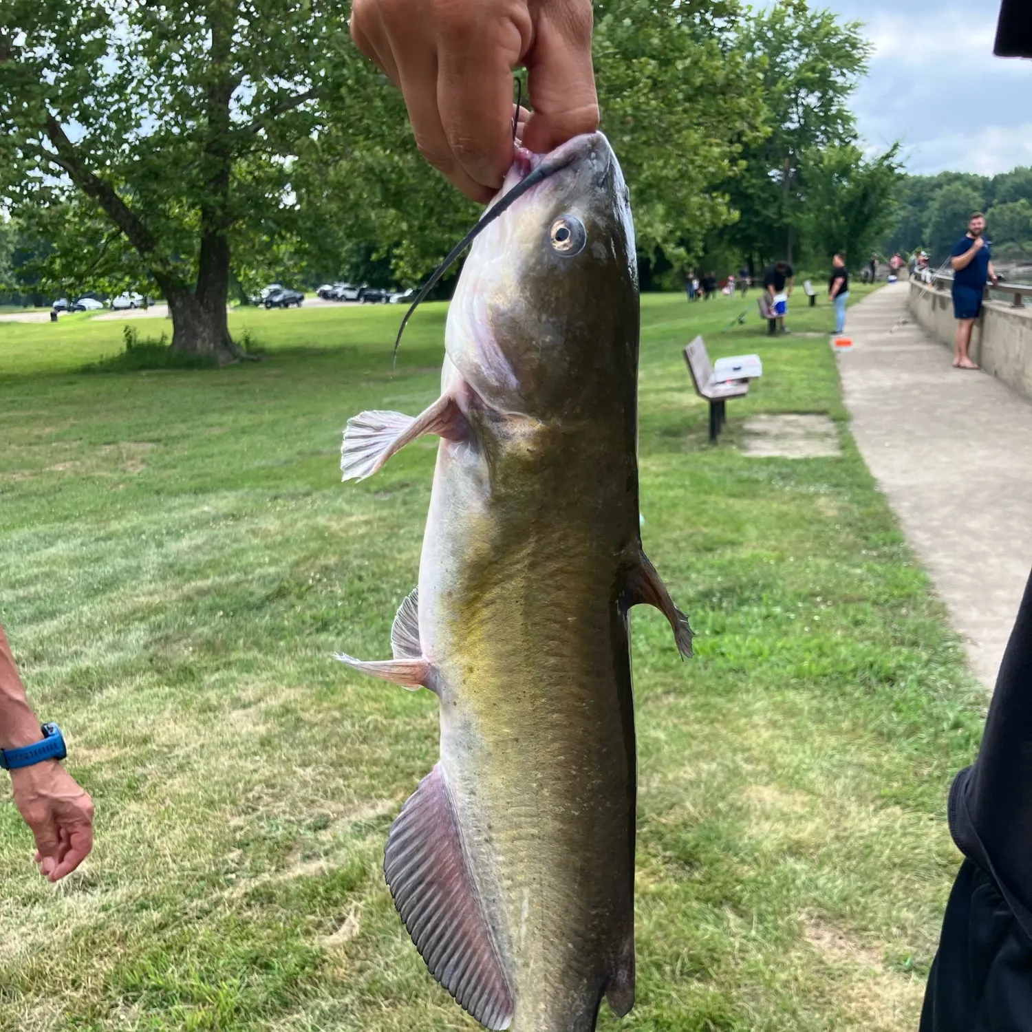 catch