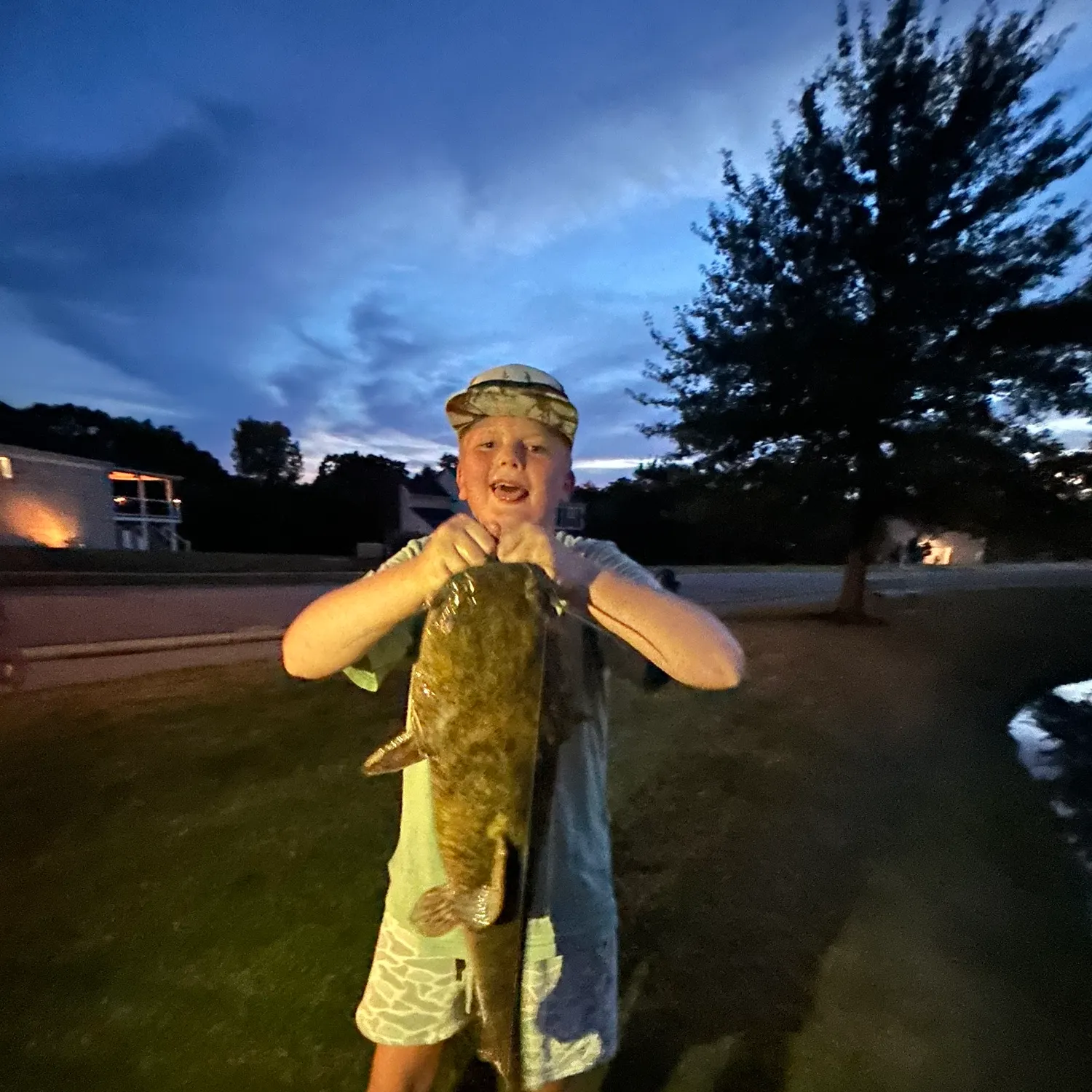 Flathead catfish caught on Fishbrain