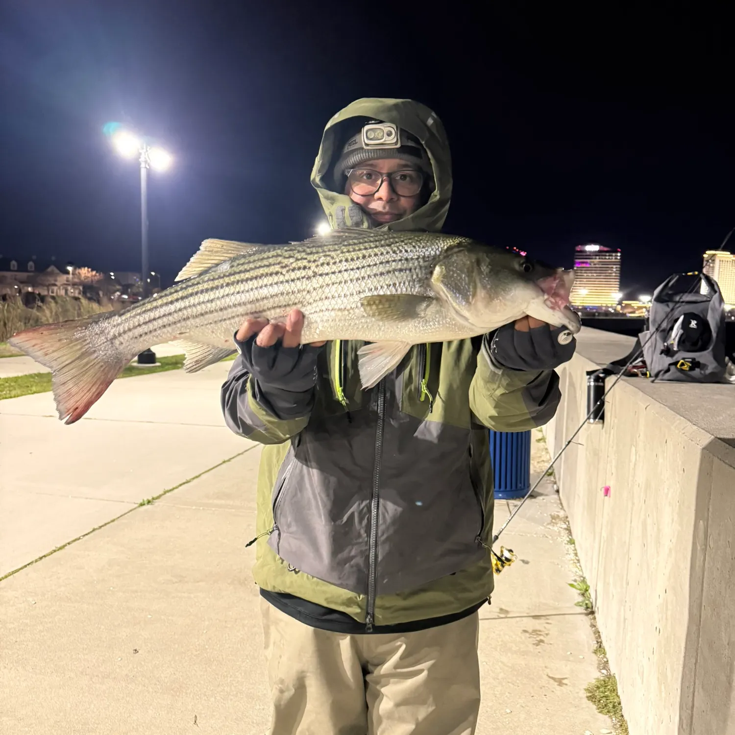 Striped bass caught on Fishbrain