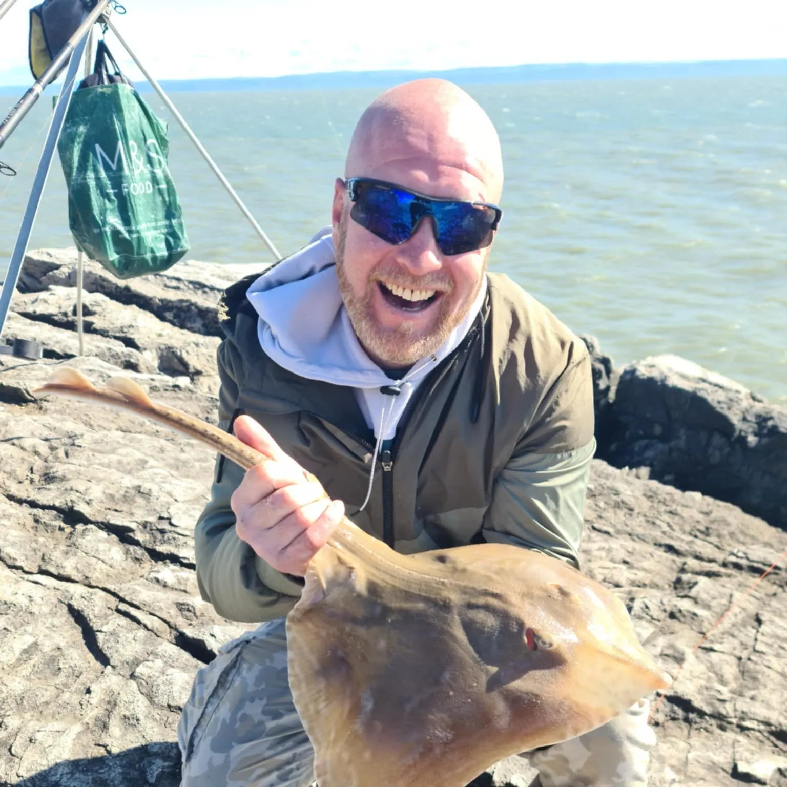 The most recent Small-eyed ray catches on Fishbrain