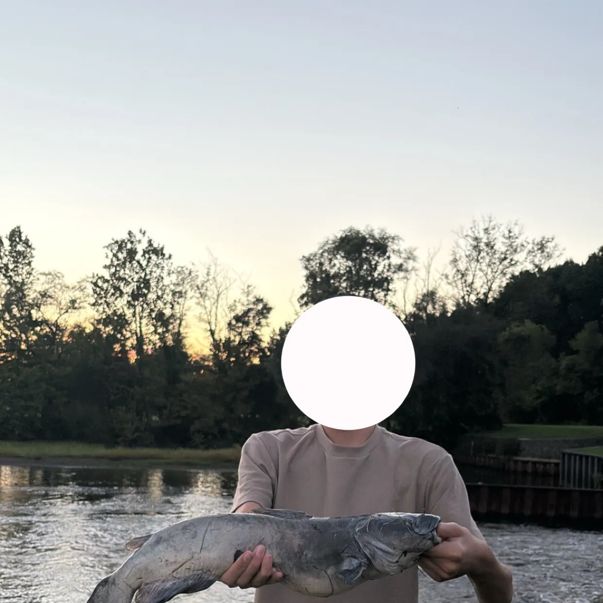 Channel catfish caught on Fishbrain
