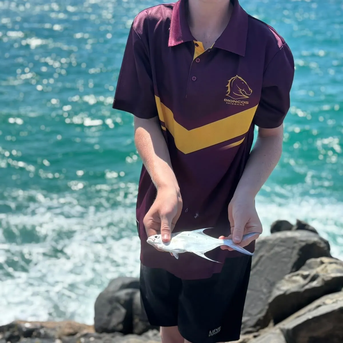 The most recent Largespotted dart catches on Fishbrain