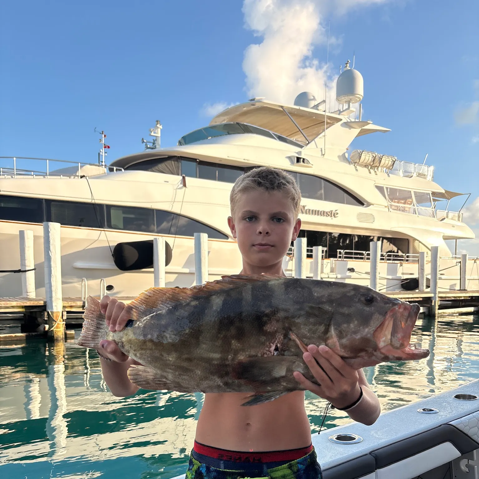 The most recent Nassau grouper catches on Fishbrain