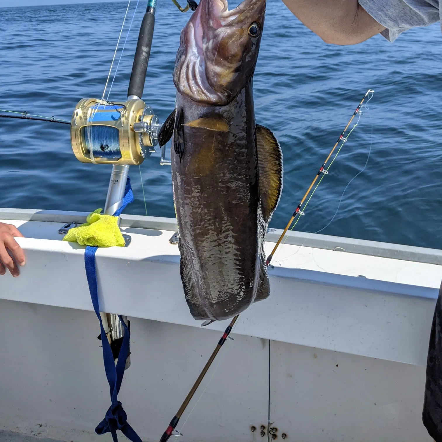 most liked catch image