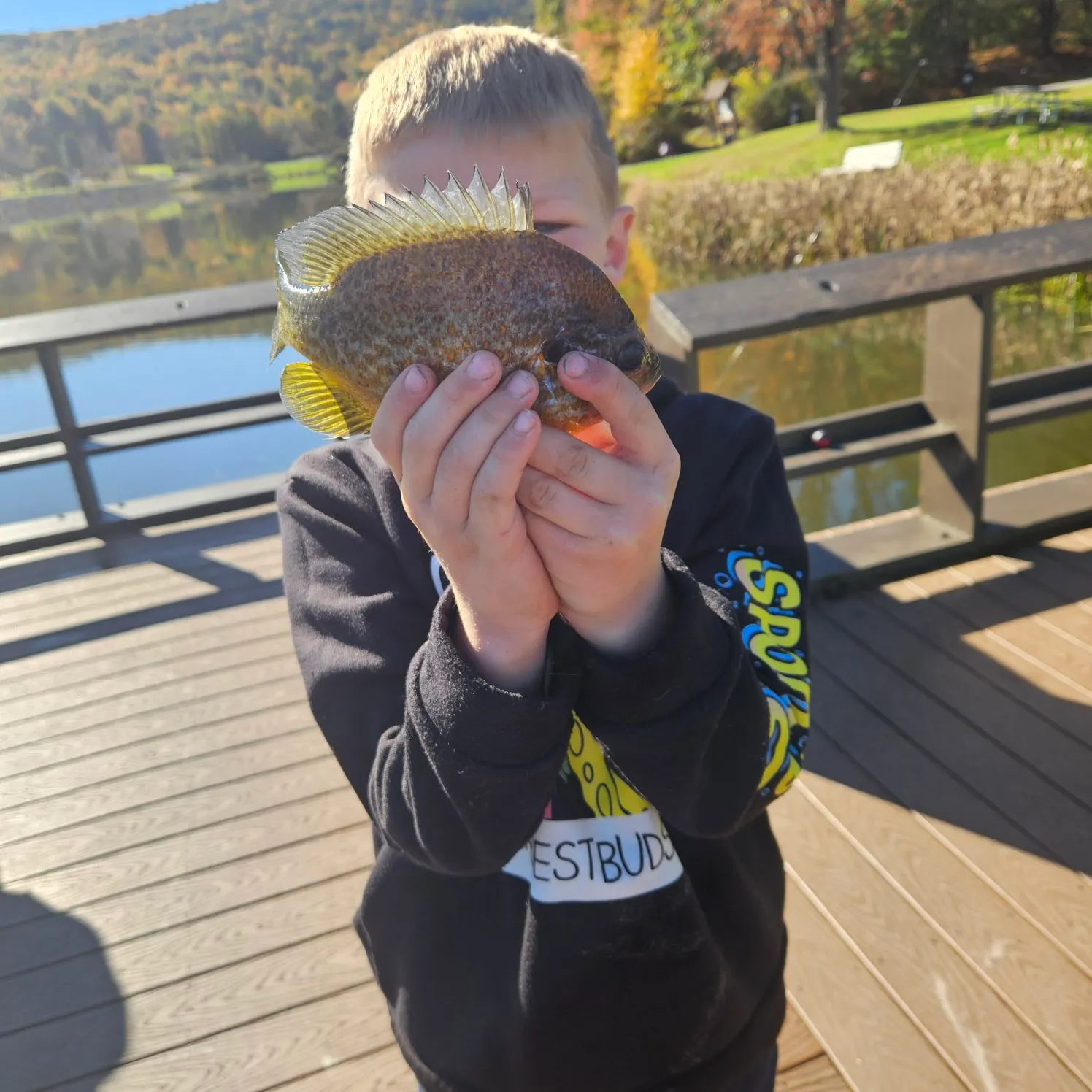 Pumpkinseed caught on Fishbrain