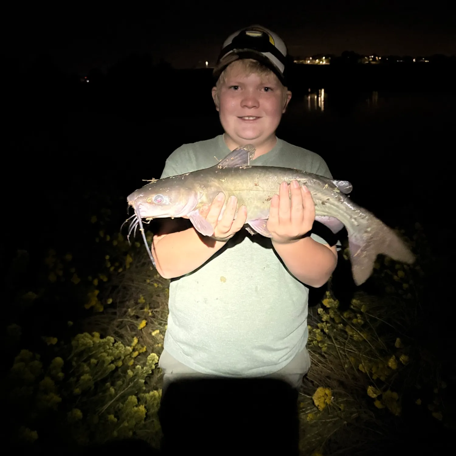 Channel catfish caught on Fishbrain