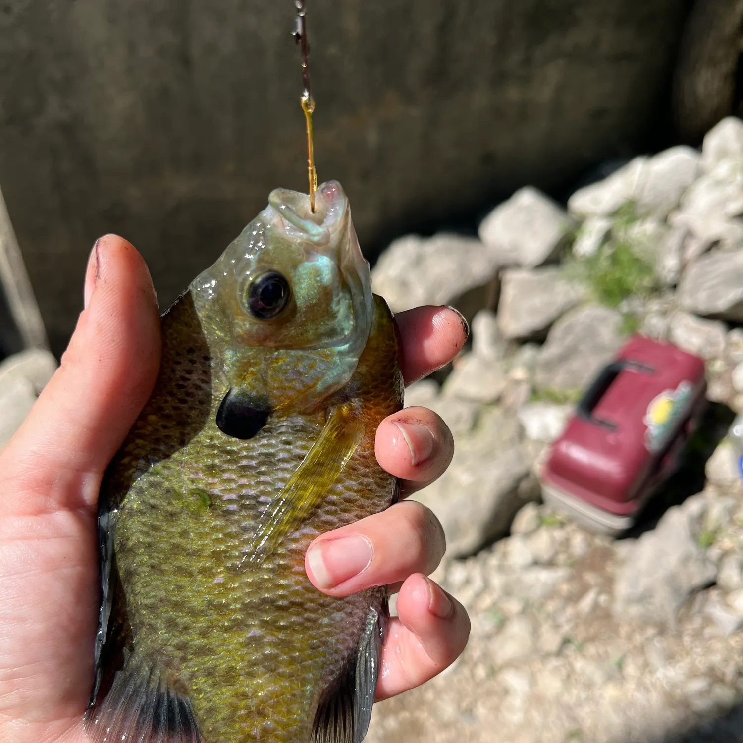 catch