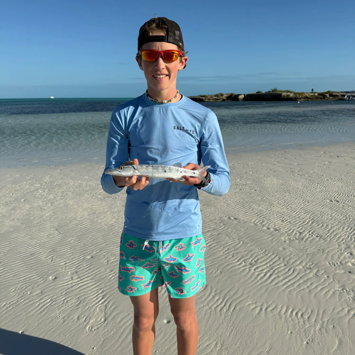 The most recent Great barracuda catches on Fishbrain