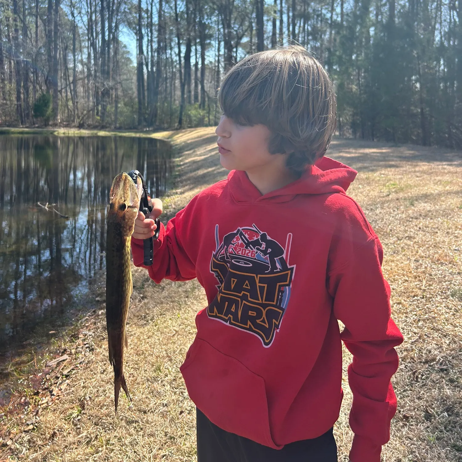 Chain pickerel caught on Fishbrain