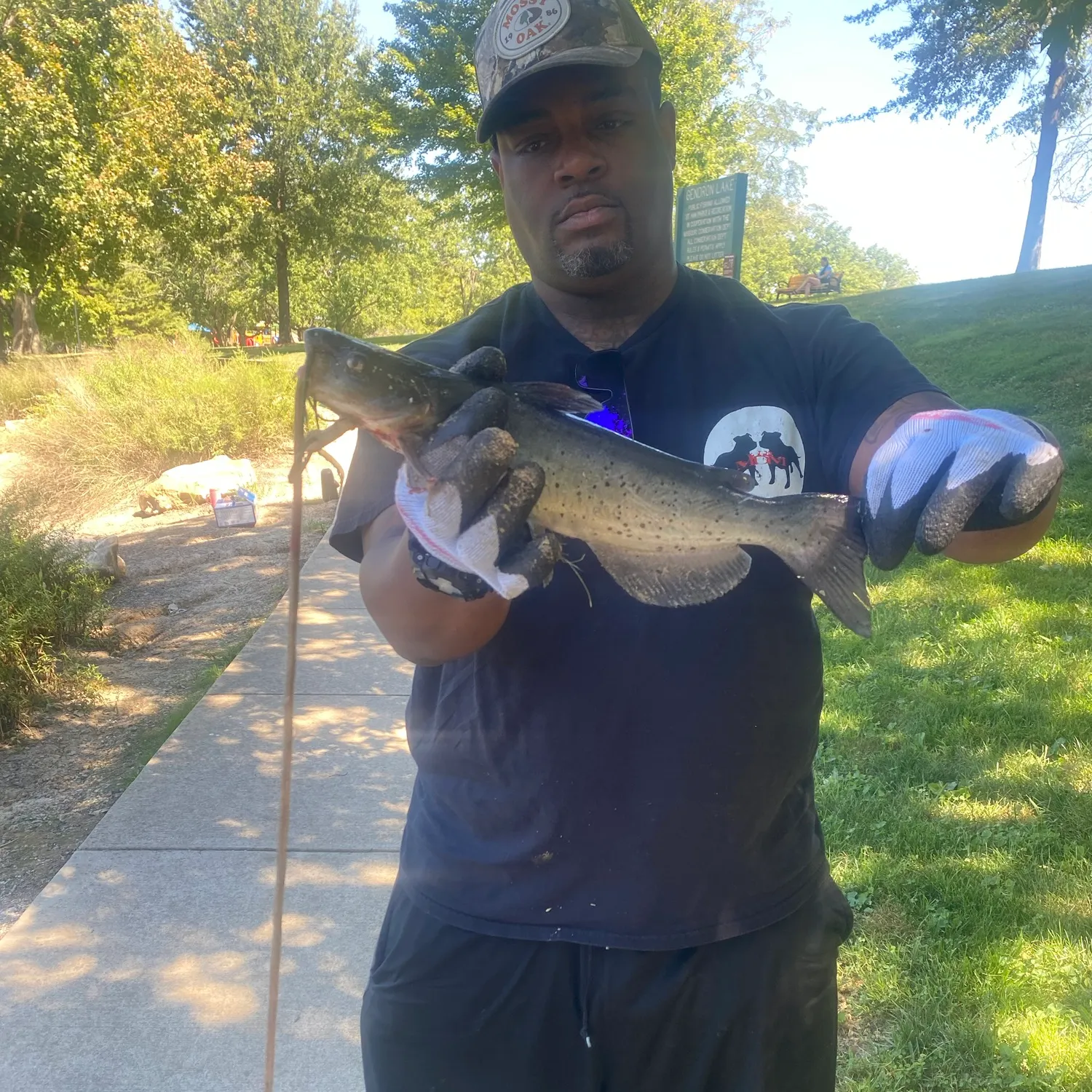 Channel catfish caught on Fishbrain