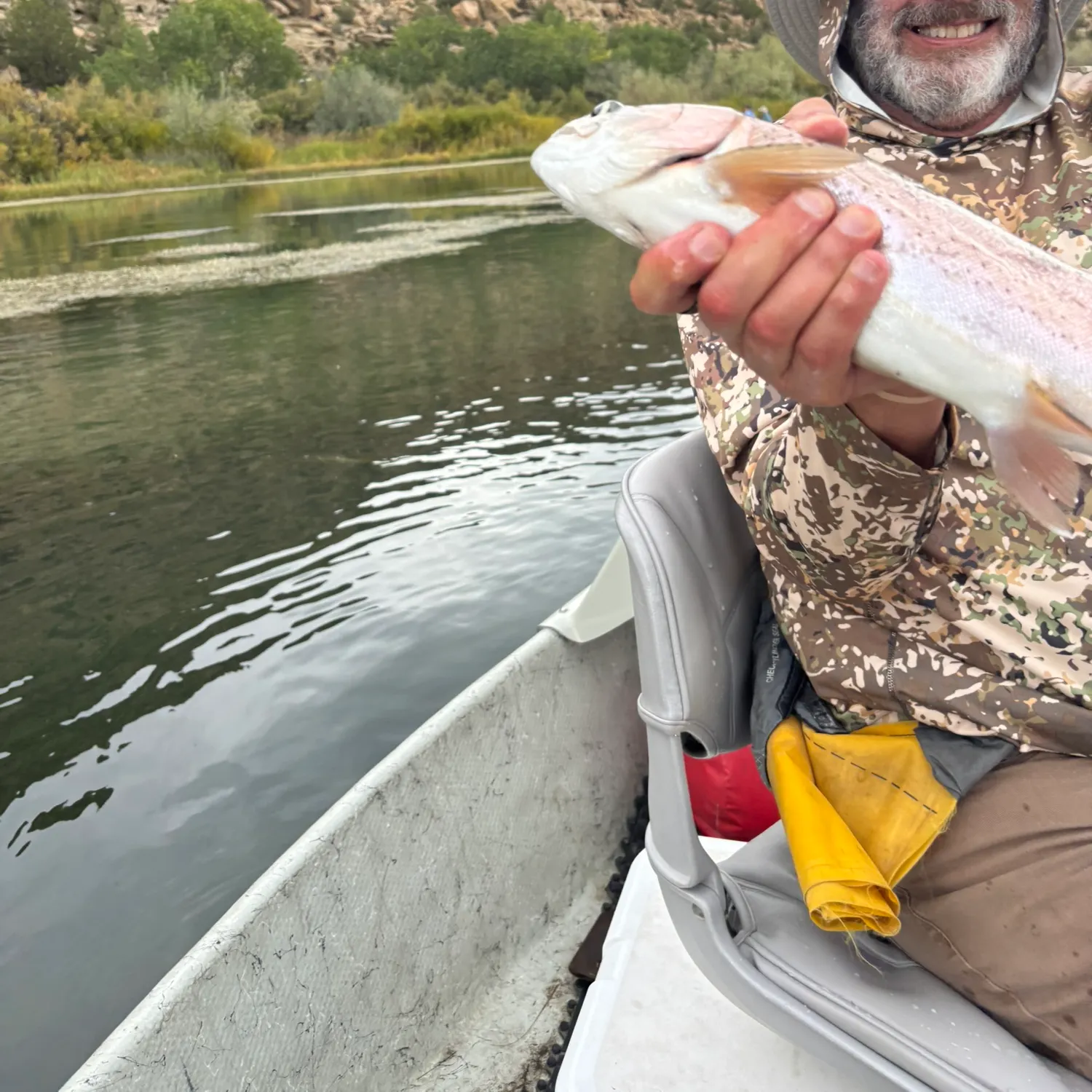 Rainbow trout caught on Fishbrain