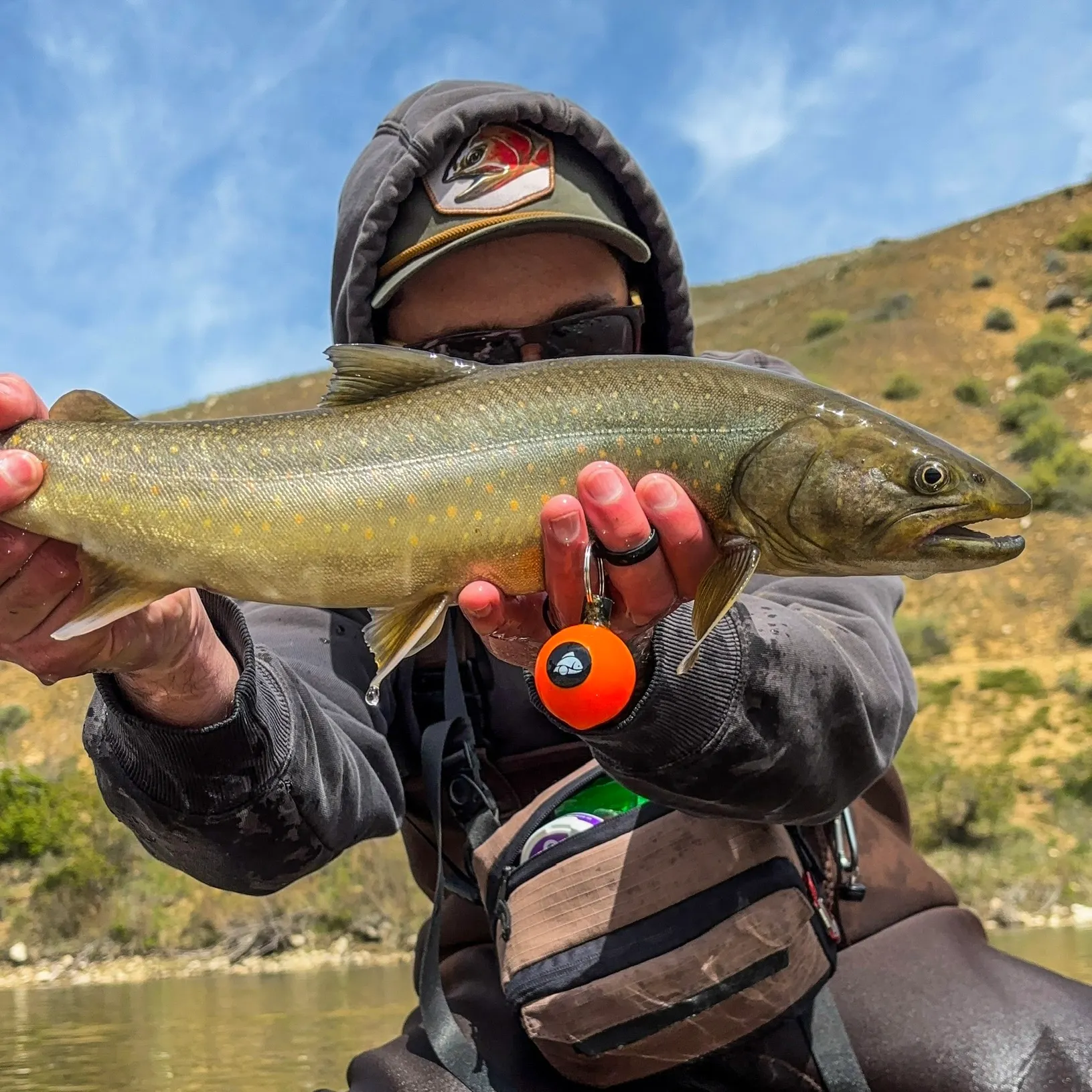 The most recent Bull trout catches on Fishbrain