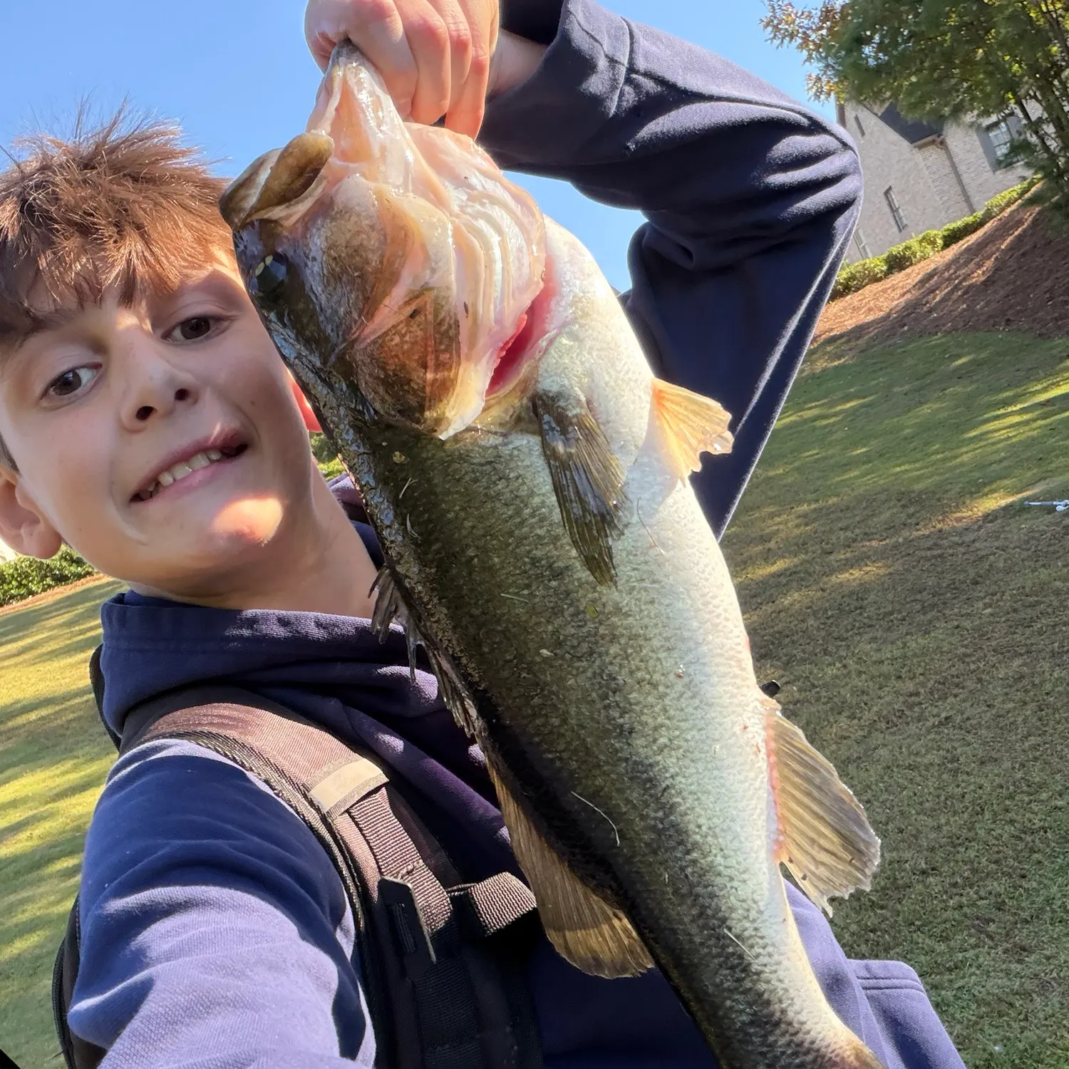 Largemouth bass caught on Fishbrain