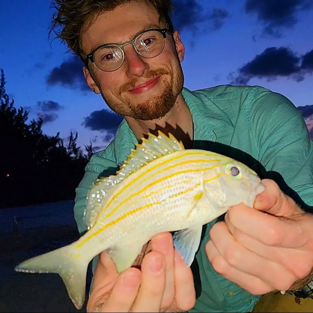 The most recent Caesar grunt catches on Fishbrain