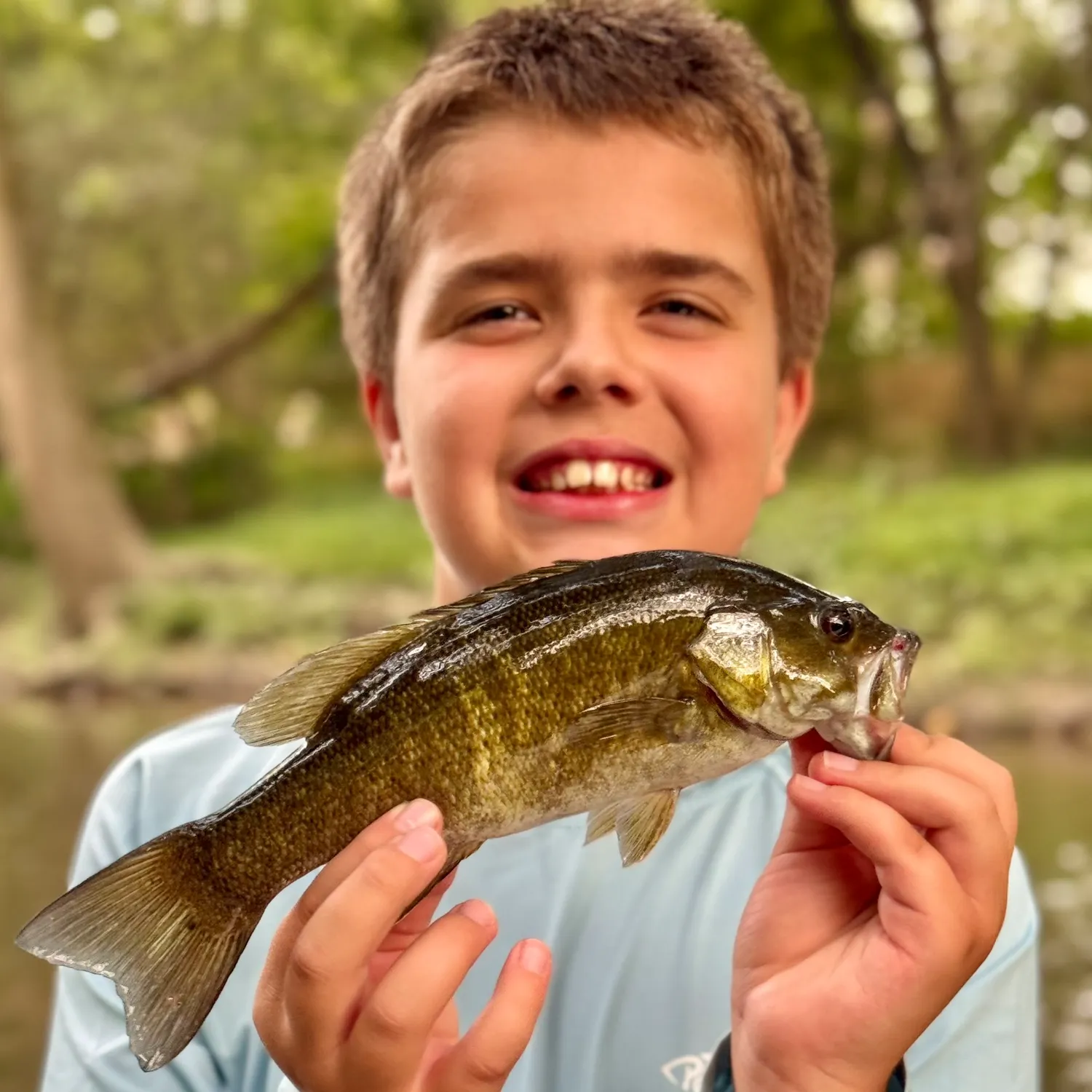 Smallmouth bass caught on Fishbrain