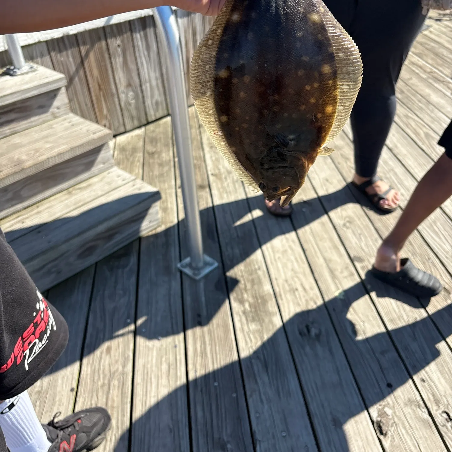 Fish caught on Fishbrain
