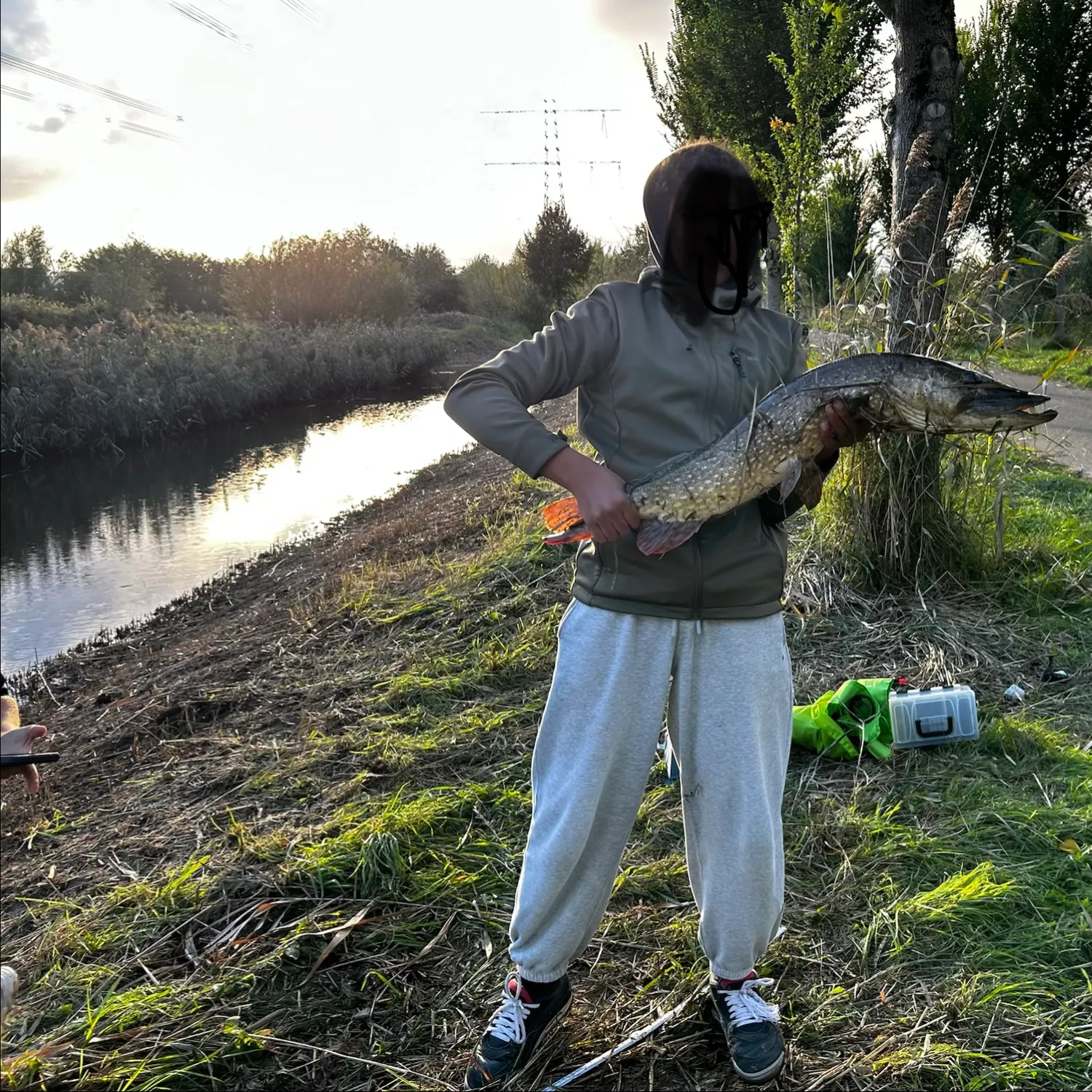 Northern pike caught on Fishbrain