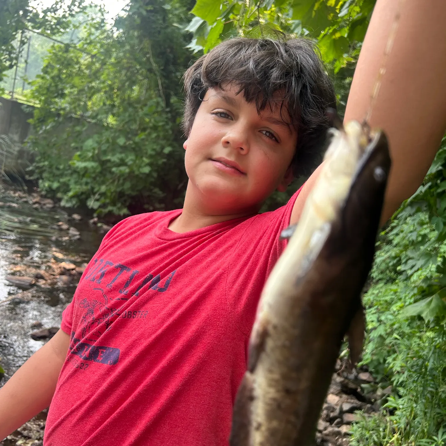 Black bullhead caught on Fishbrain
