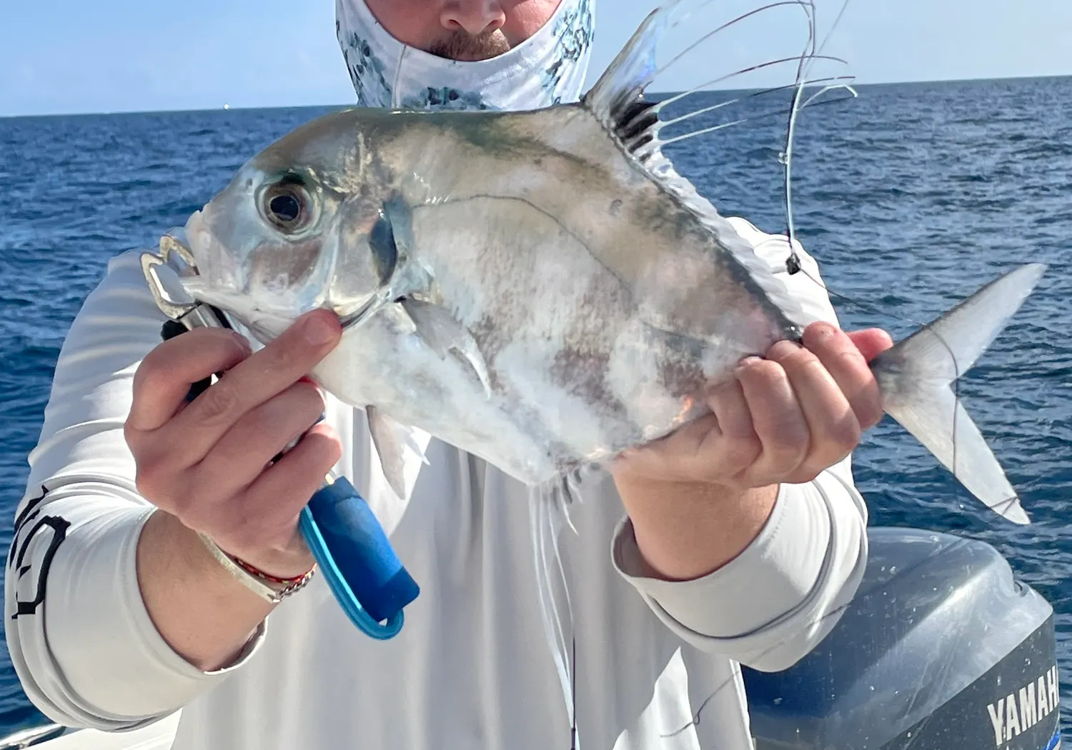 African pompano