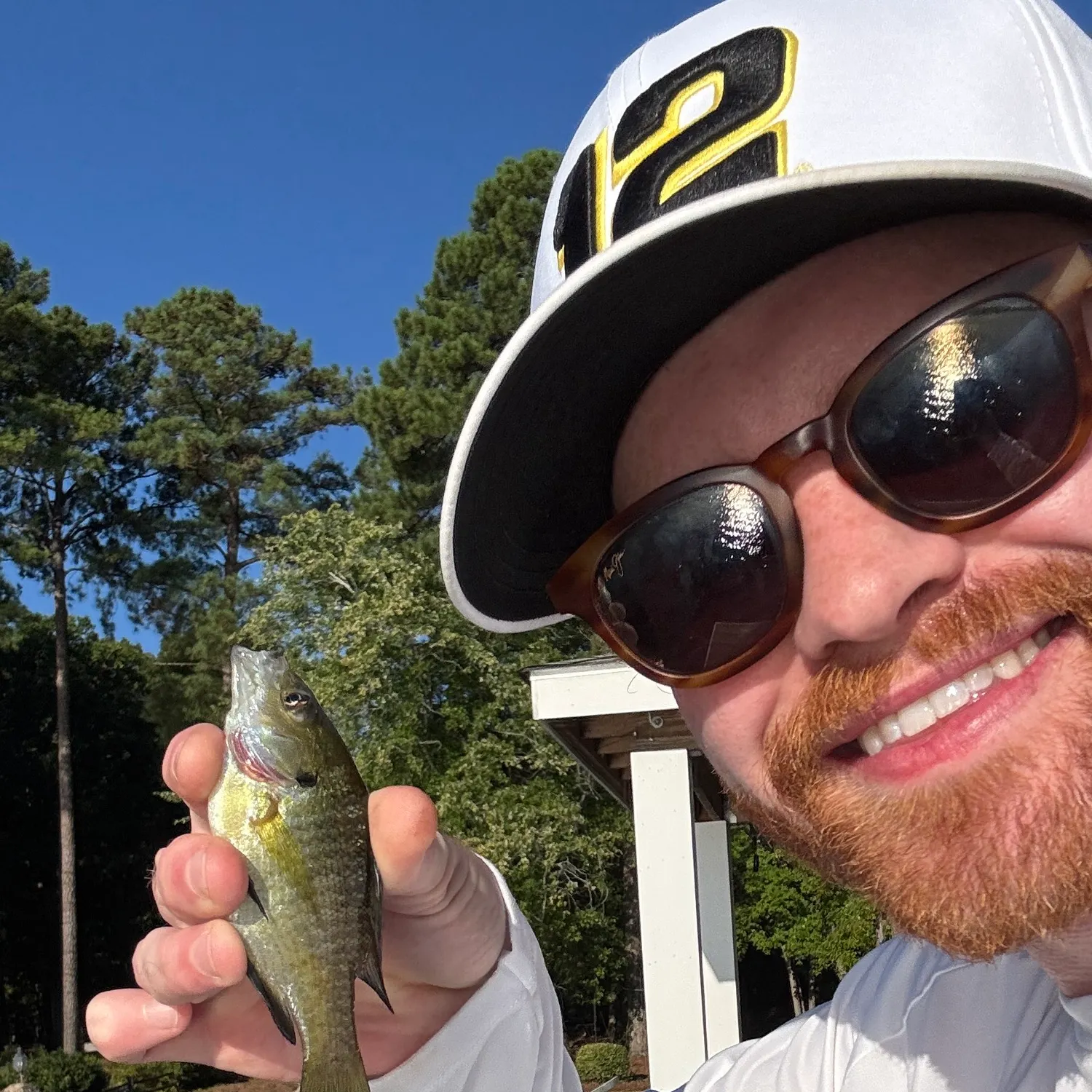 Bluegill caught on Fishbrain