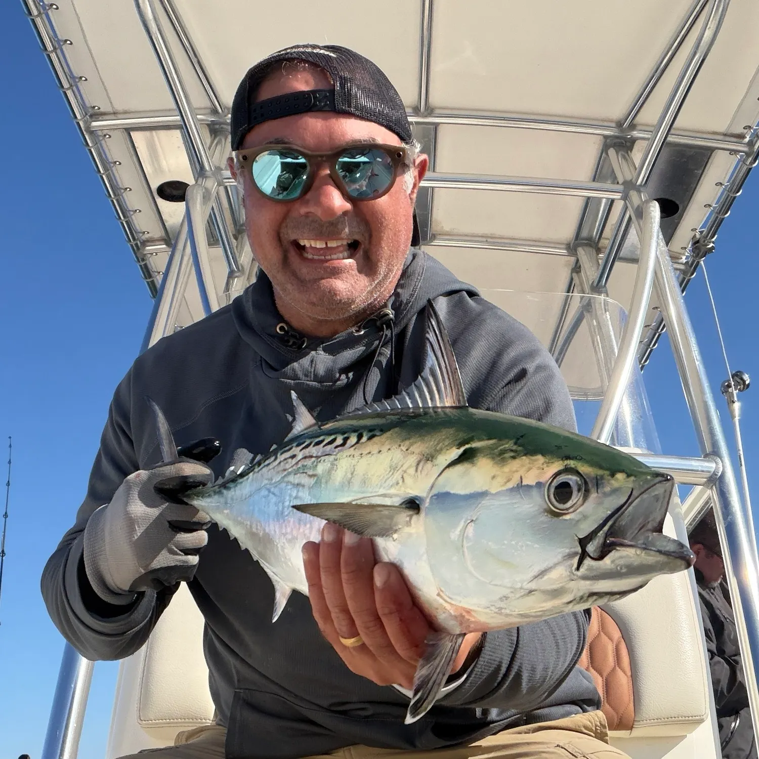 Little tunny caught on Fishbrain