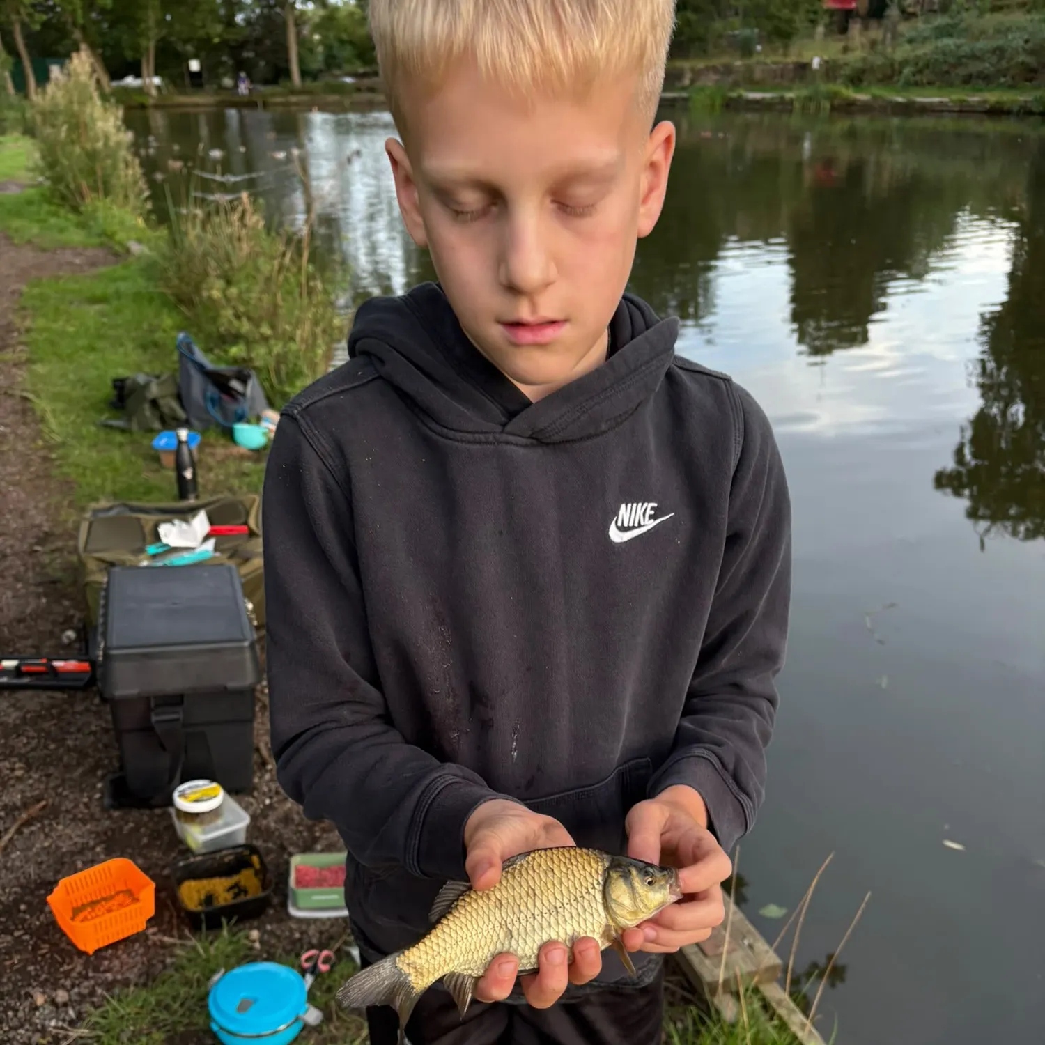 The most recent Crucian carp catches on Fishbrain
