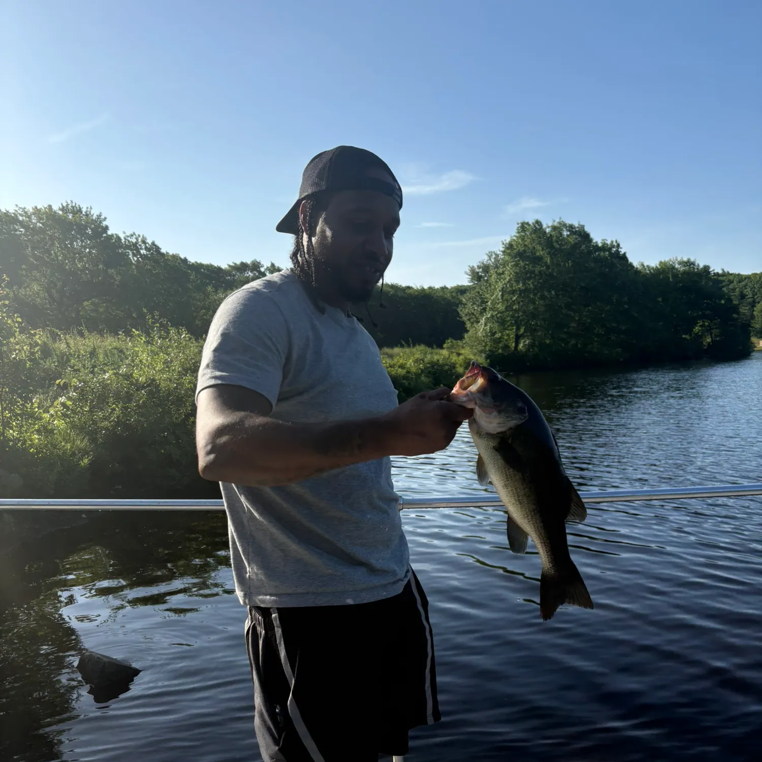 Largemouth bass caught on Fishbrain